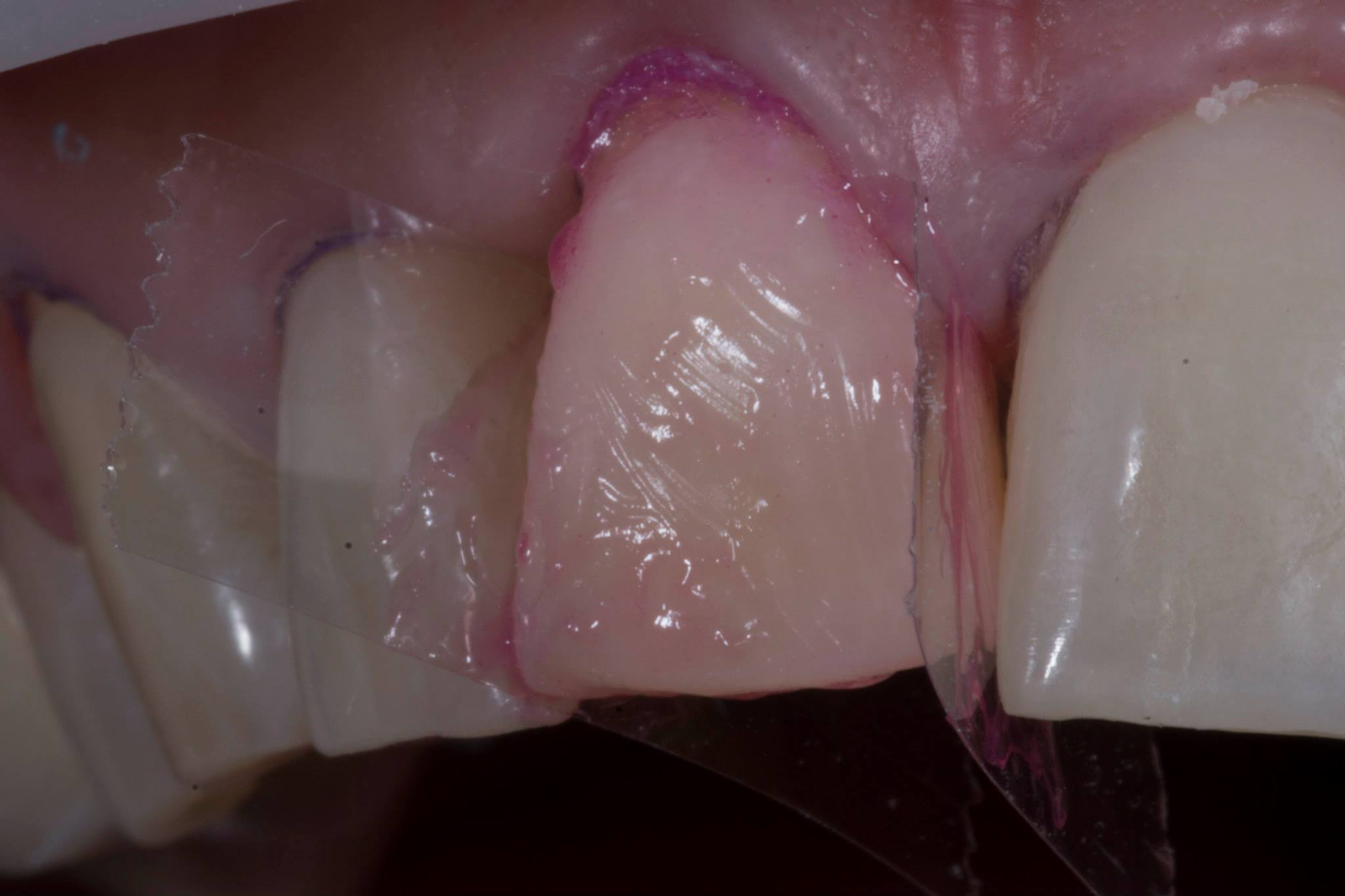 10547216 384526668363233 64477033762028013 o