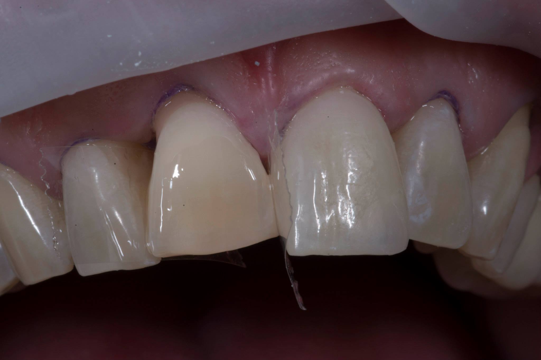 10669061 384526695029897 8400955599854951507 o